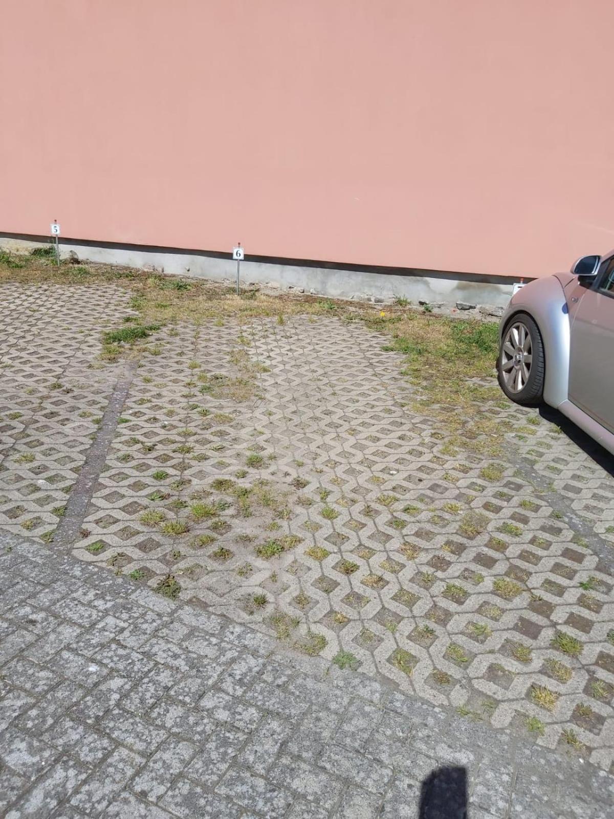 Wohnung Sonnenschein Wolgast Exterior photo